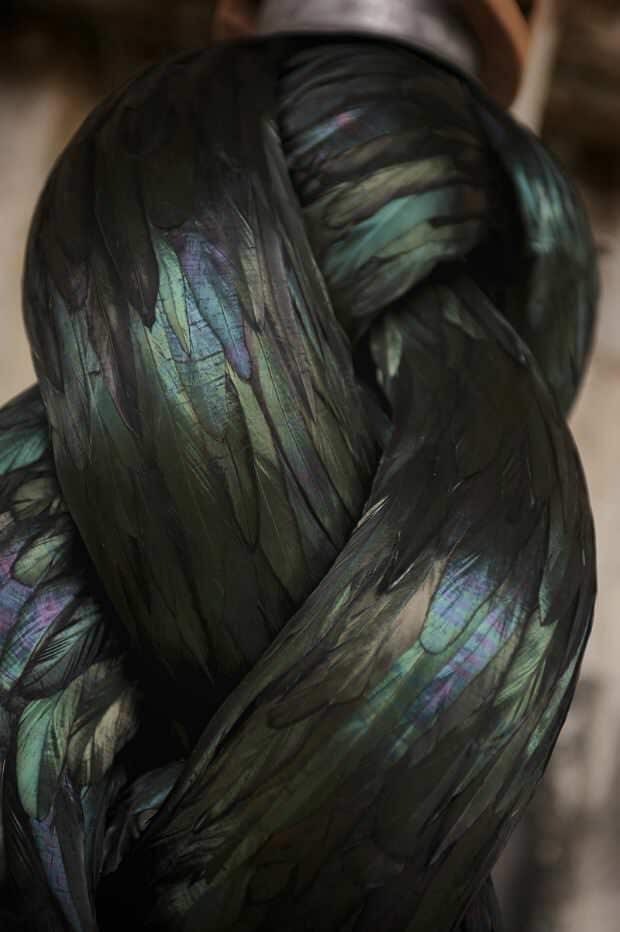 sculpturen van veren