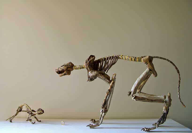 houten skelet