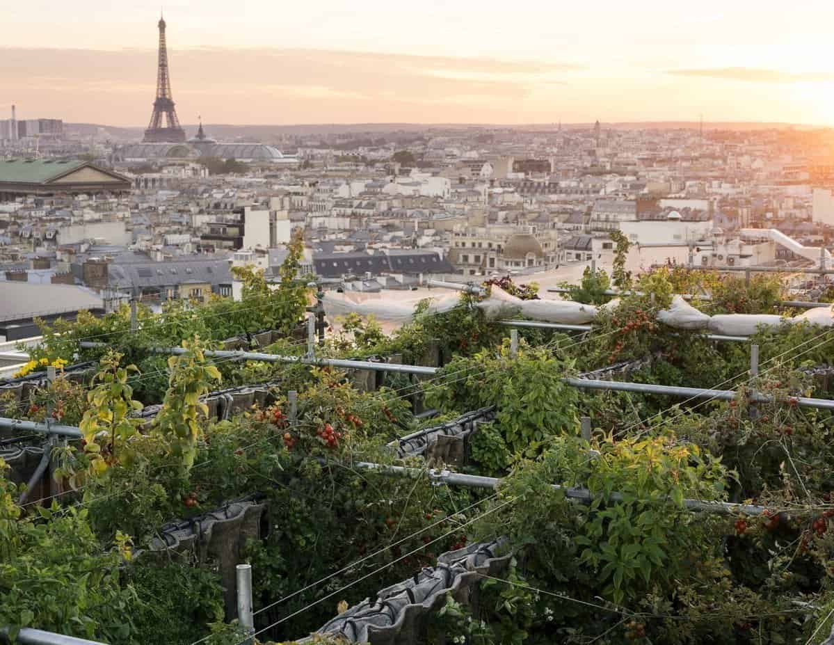 geheime tuin in Parijs