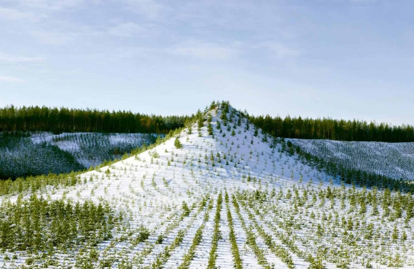 Agnes Denes, Tree Mountain—A Living Time Capsule—11,000 Trees, 11,000 People, 400 Years, 1992–96, Pinsiönkankaantie 10, 39150 Pinsiö. © Agnes Denes. (project 70, page 86) All images courtesy of Phaidon.