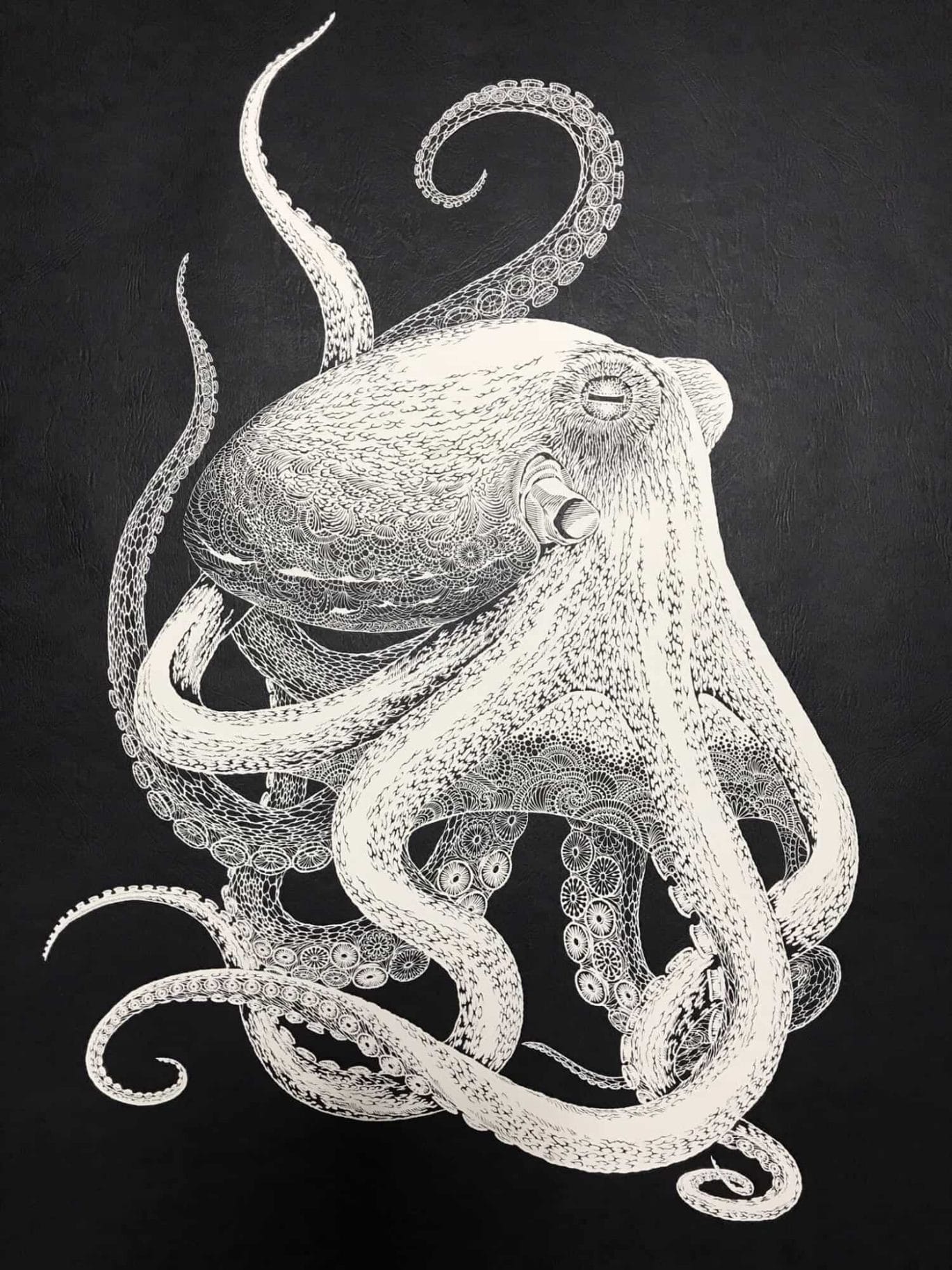 octopus van papier
