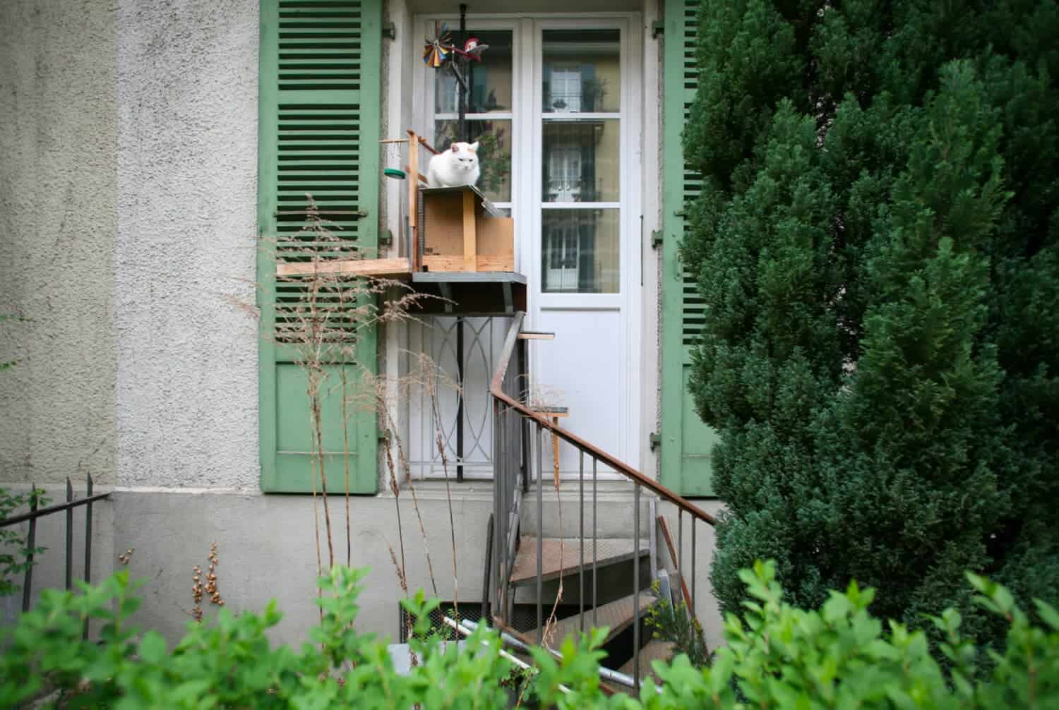 Foto uit het boek Swiss Cat Ladders van Brigitte Schuster