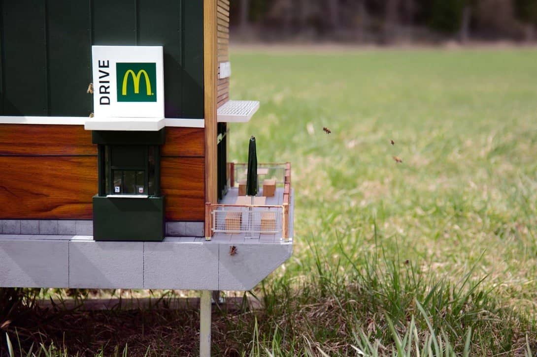De kleinste McDonald's ter wereld is speciaal voor bijen