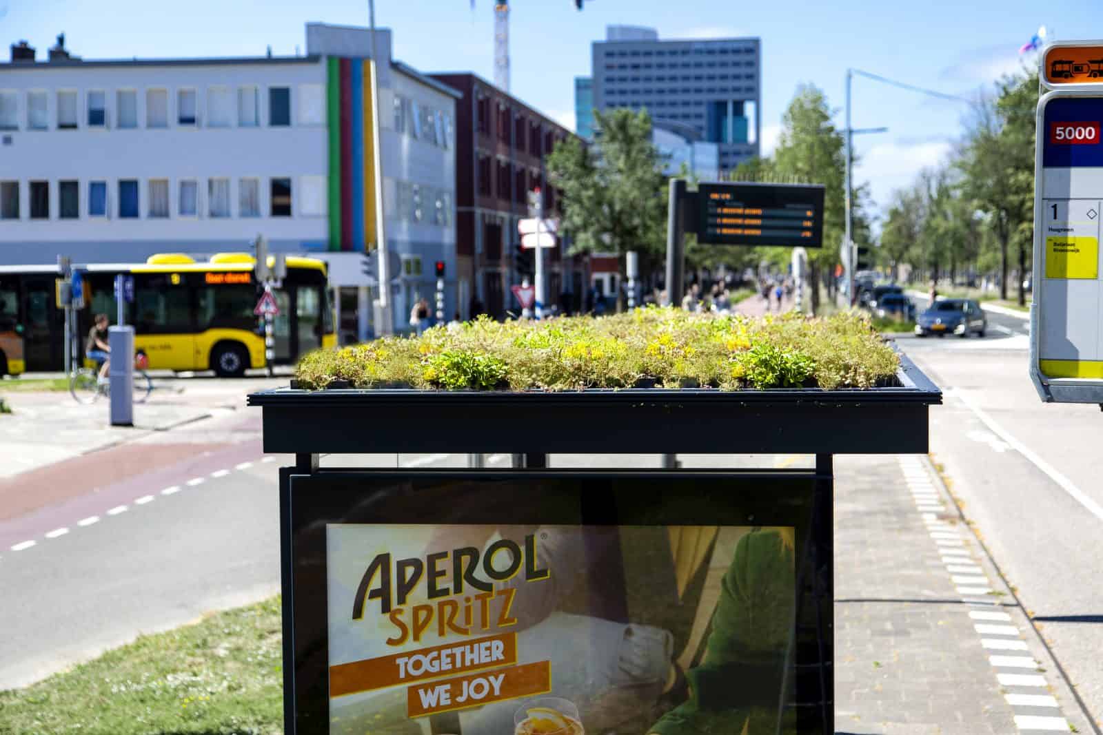 Bijvriendelijke bushalte in Utrecht