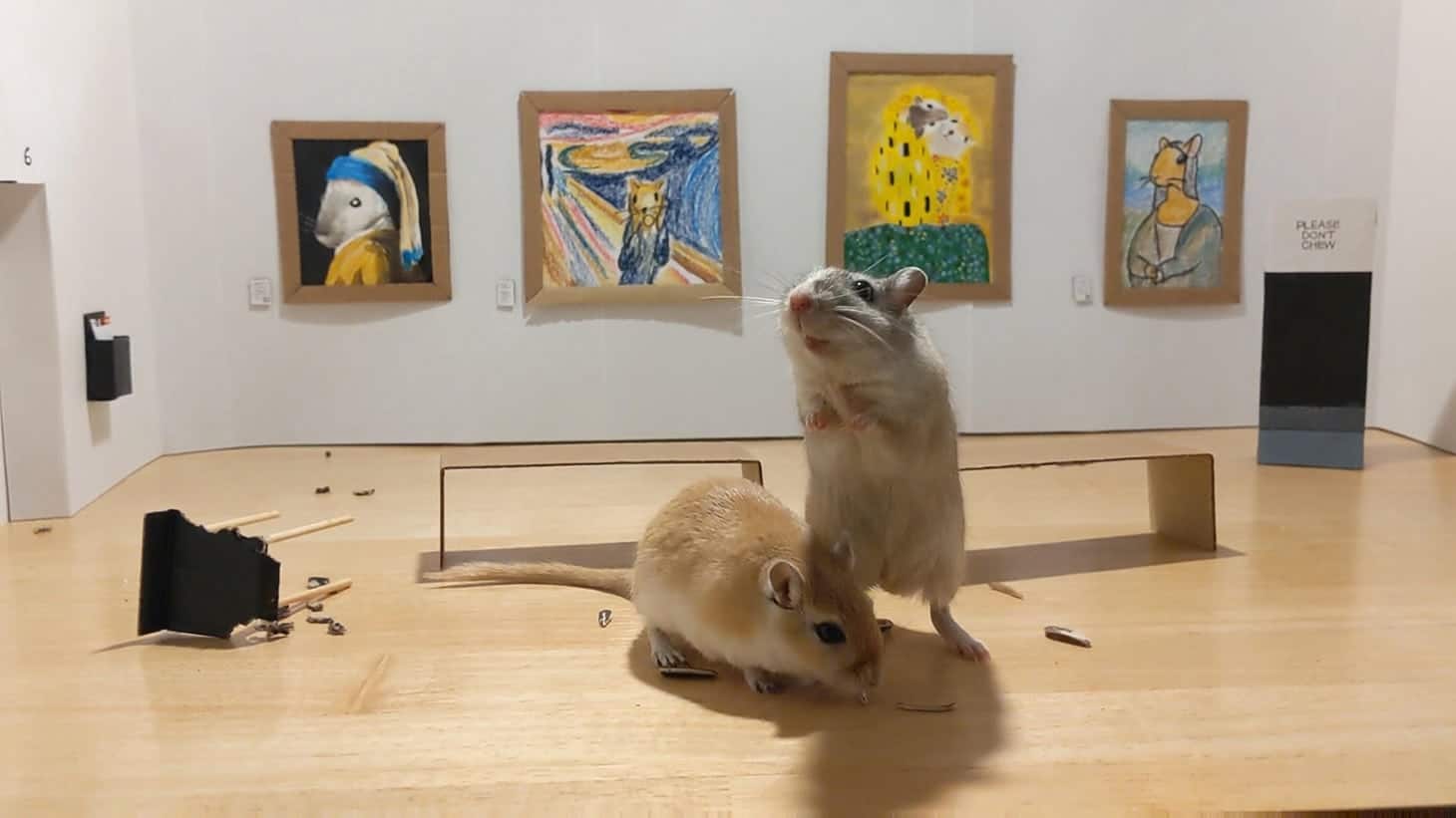 twee gerbils in een museum