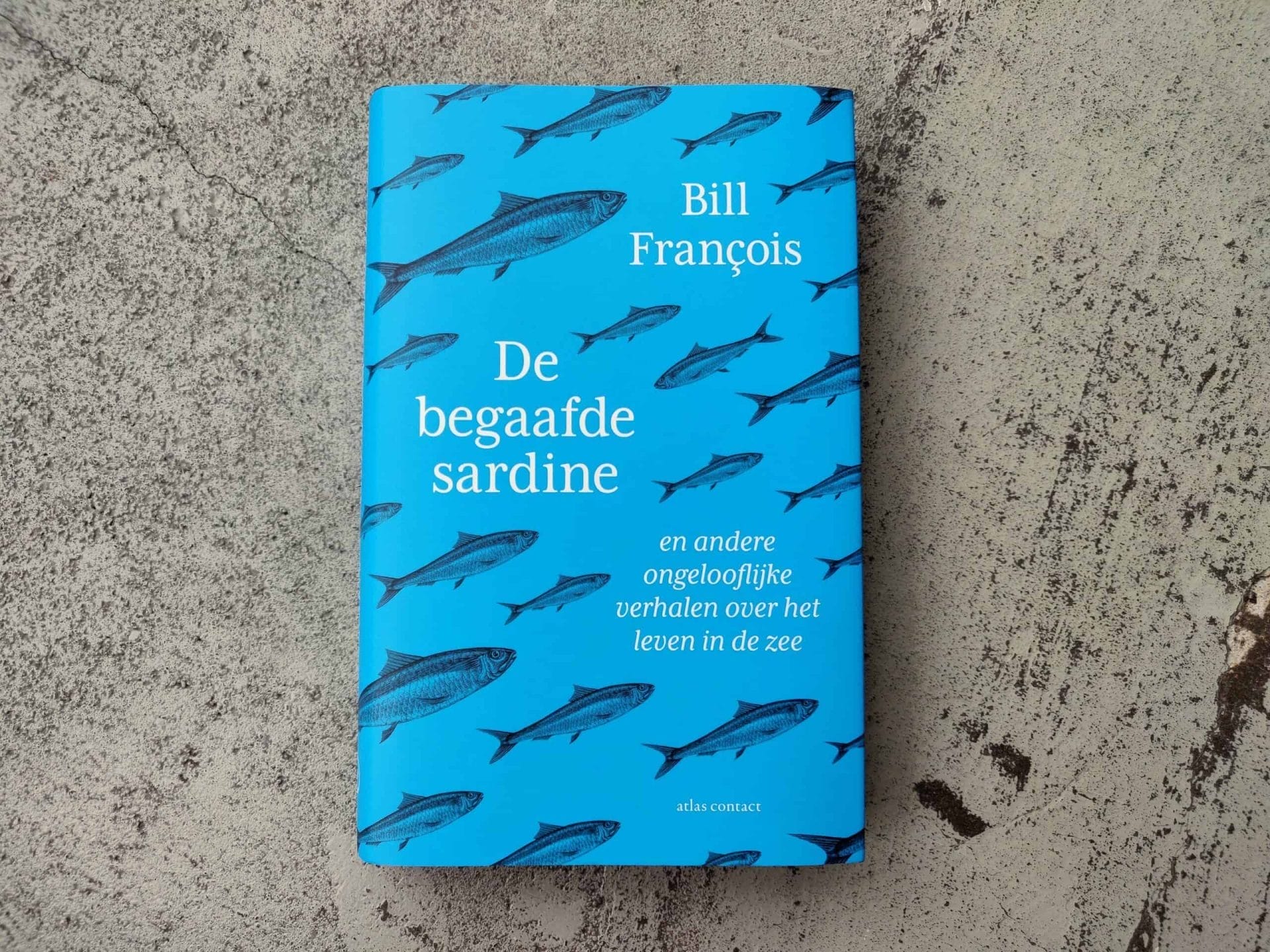 De begaafde sardine