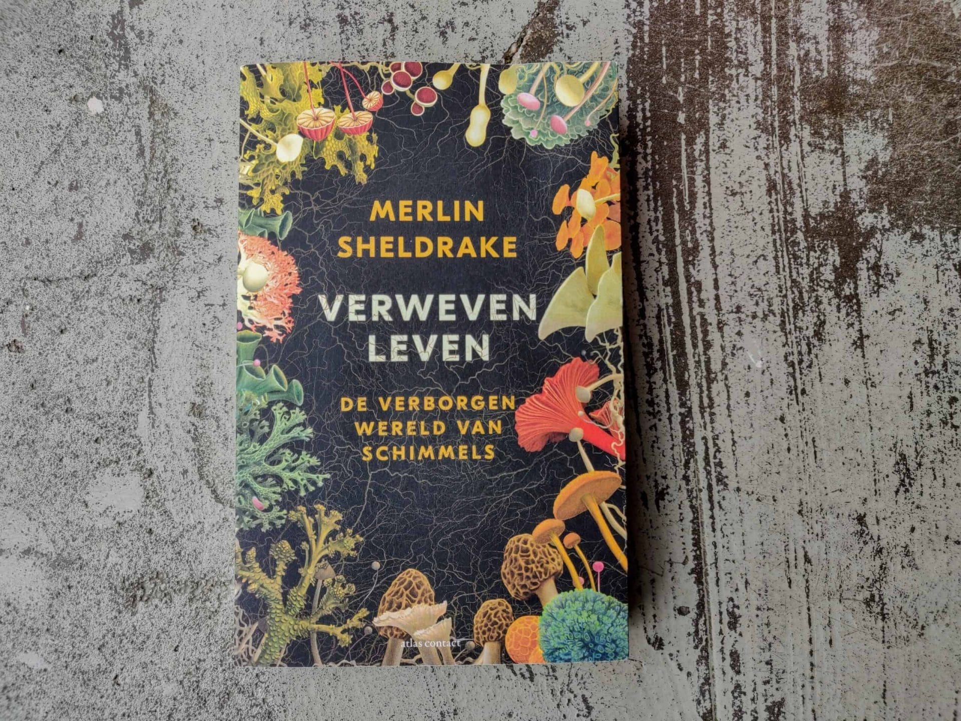 Merlin Sheldrake - Verweven Leven