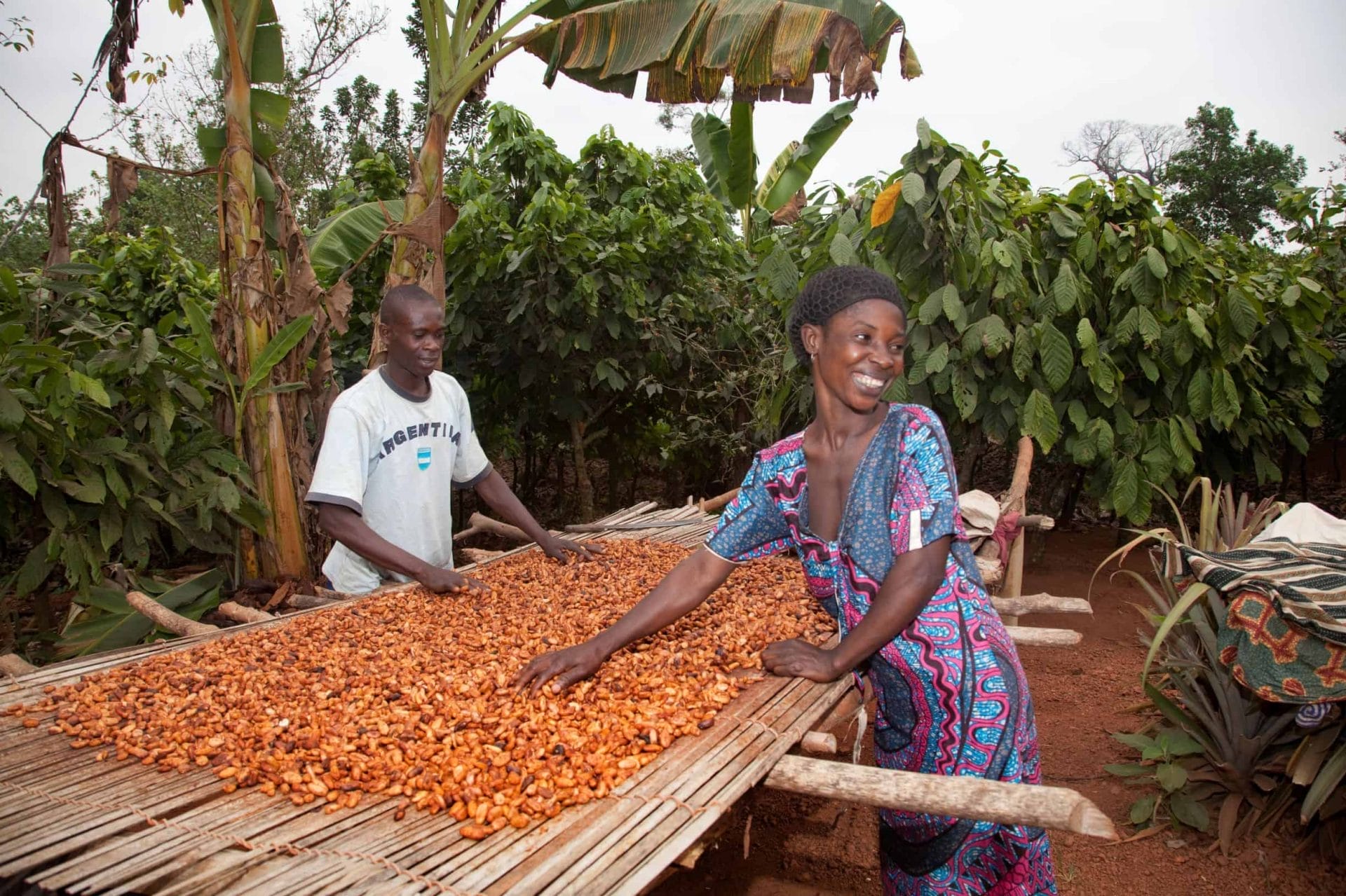 Solidaridad Cacao Meter 2020