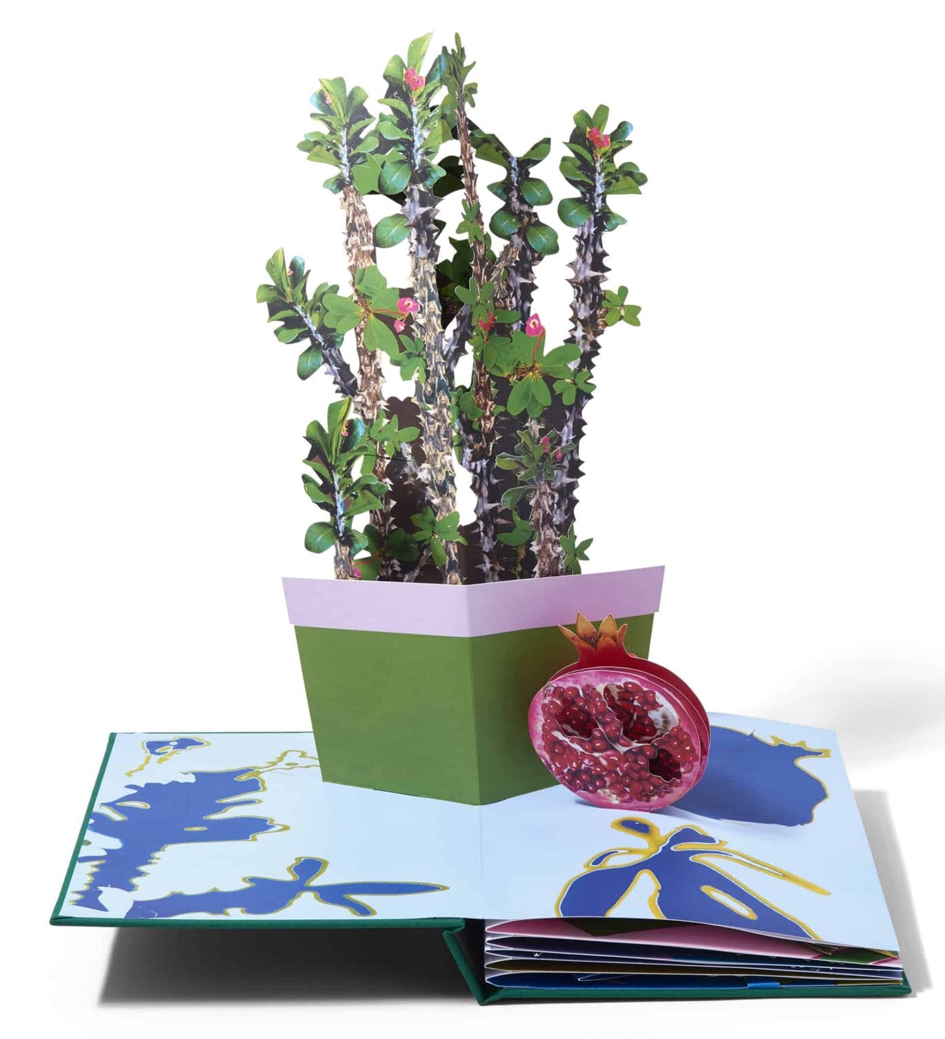 Pop-up boek met populaire kamerplanten