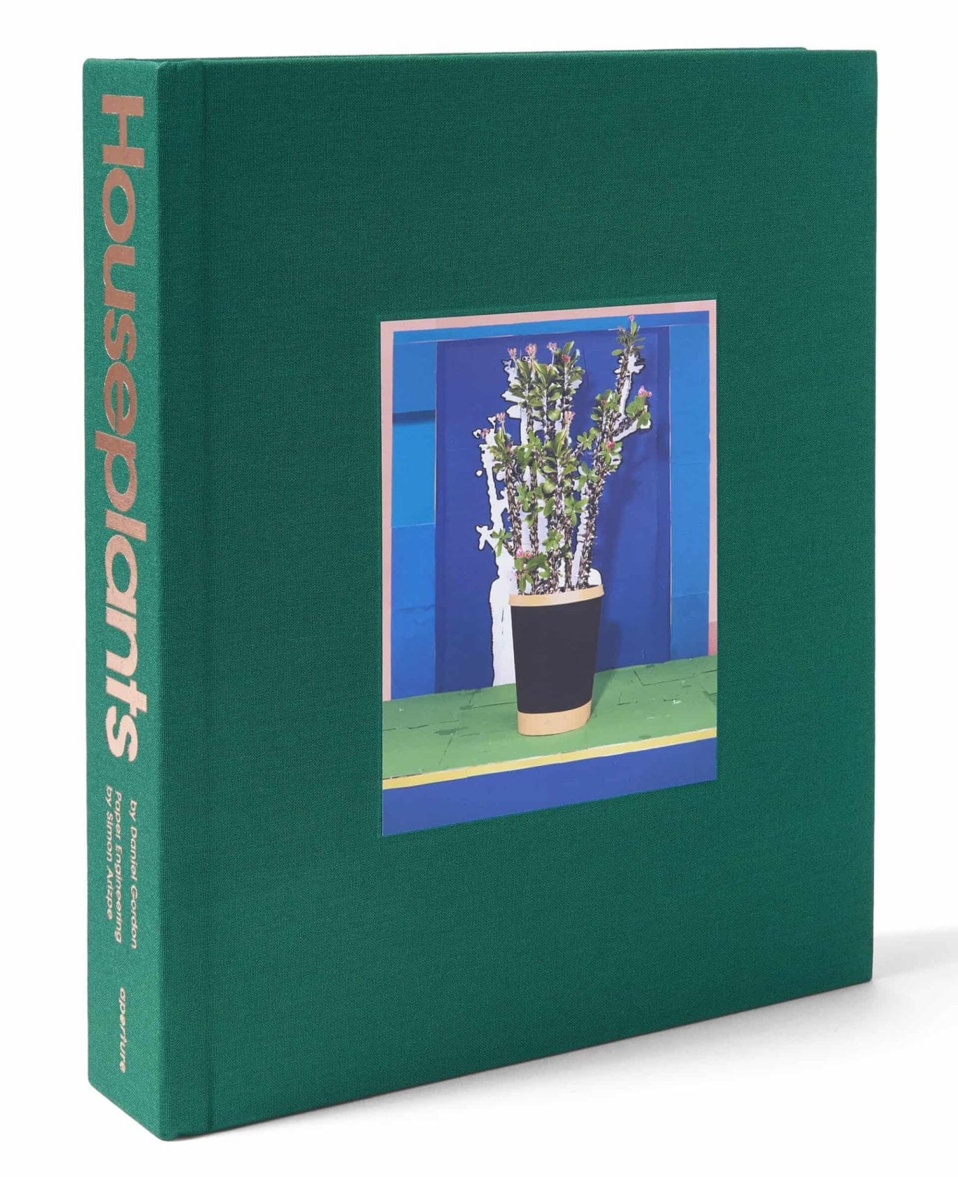 Pop-up boek met populaire kamerplanten