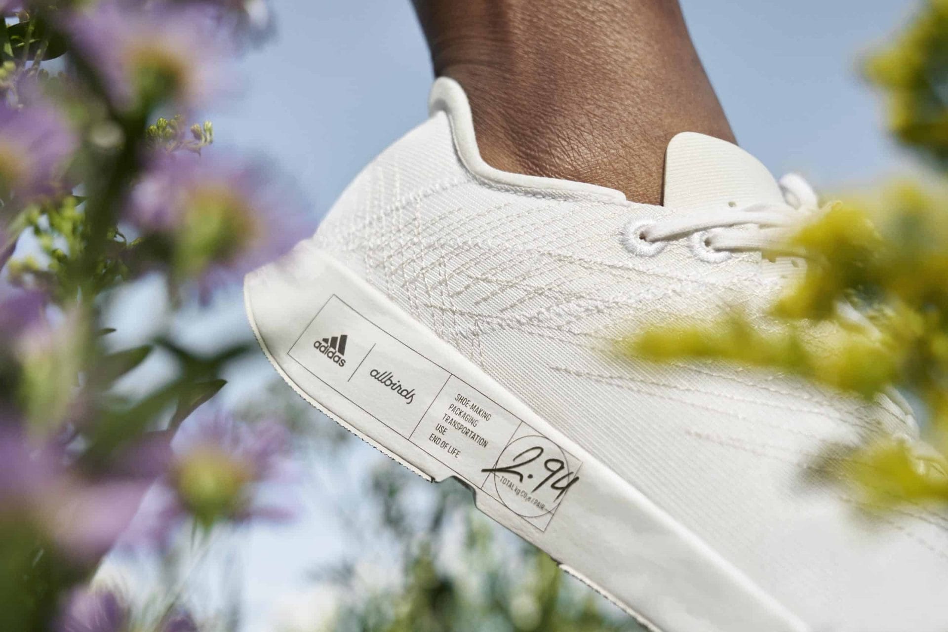 allbirds x adidas