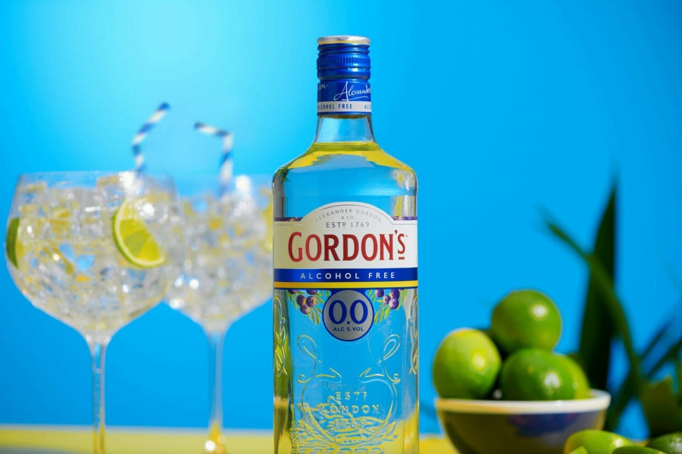 Met Gordon's 0.0% maak je een alcoholvrije gin-tonic