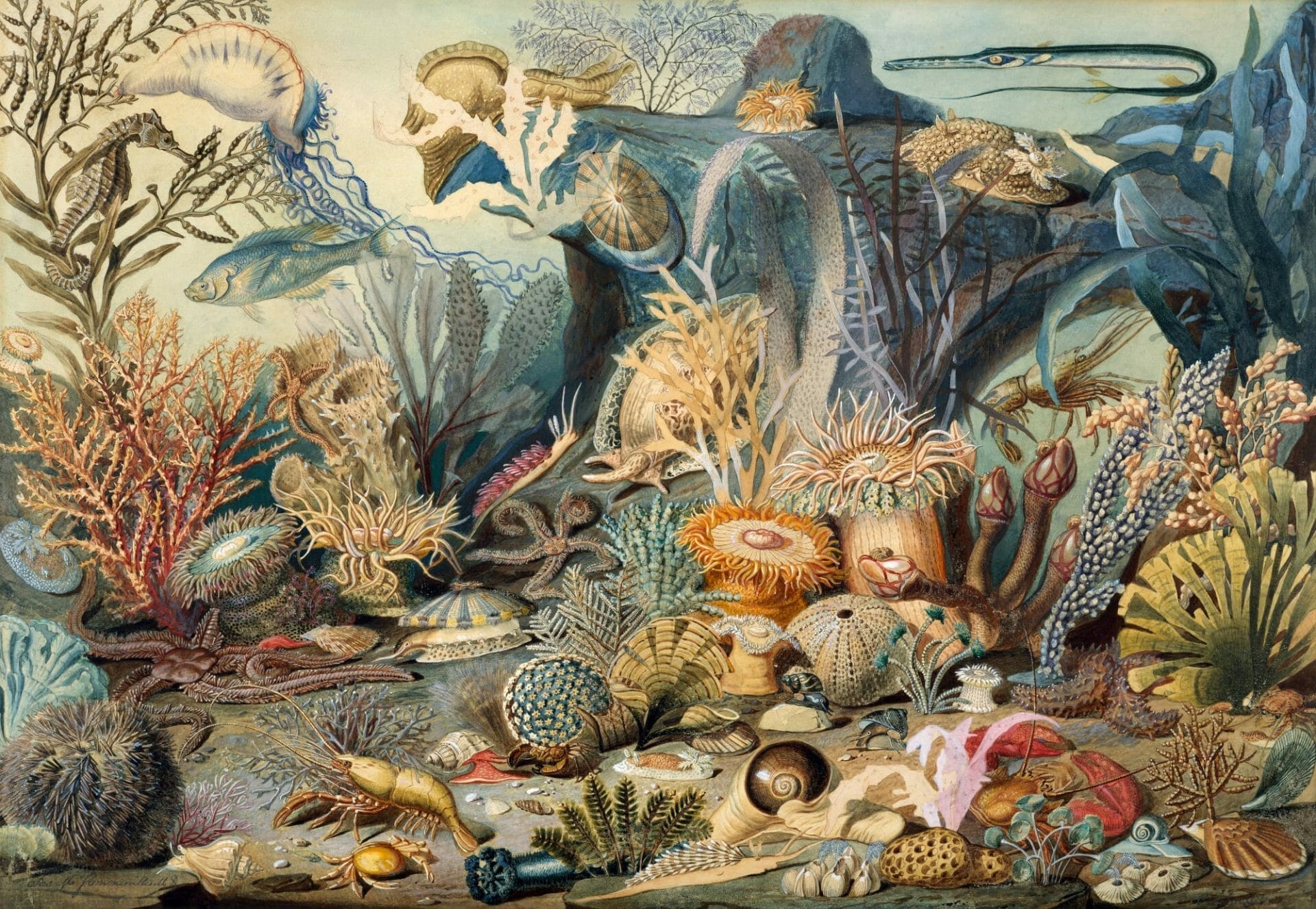 Christian Schussele and James M. Sommerville, Ocean Life, (c.1859), watercolor, gouache, graphite, and gum arabic on off-white wove paper, 48.3 × 69.7 centimeters. Image courtesy of The Metropolitan Museum of Art