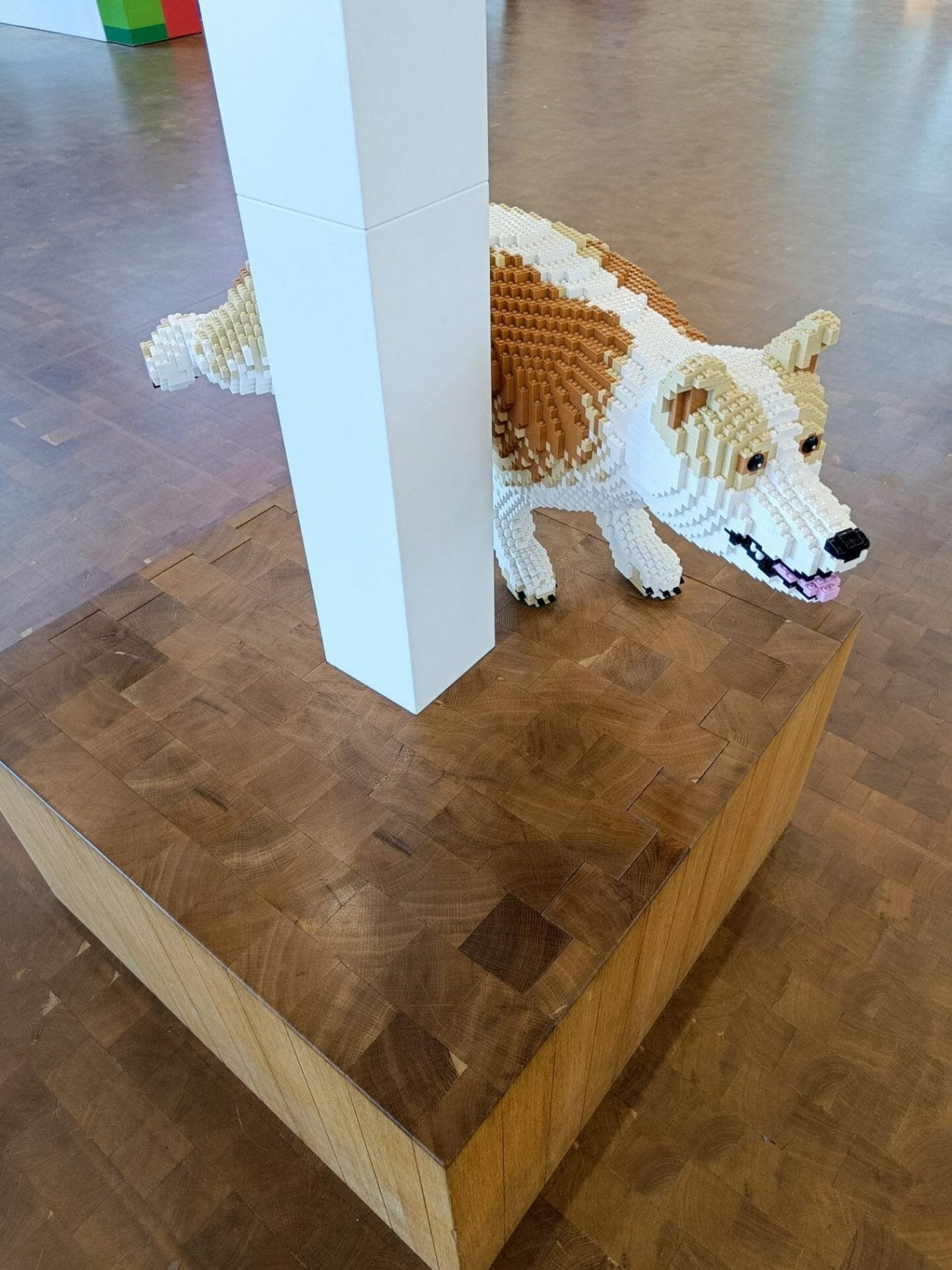 hond van LEGO