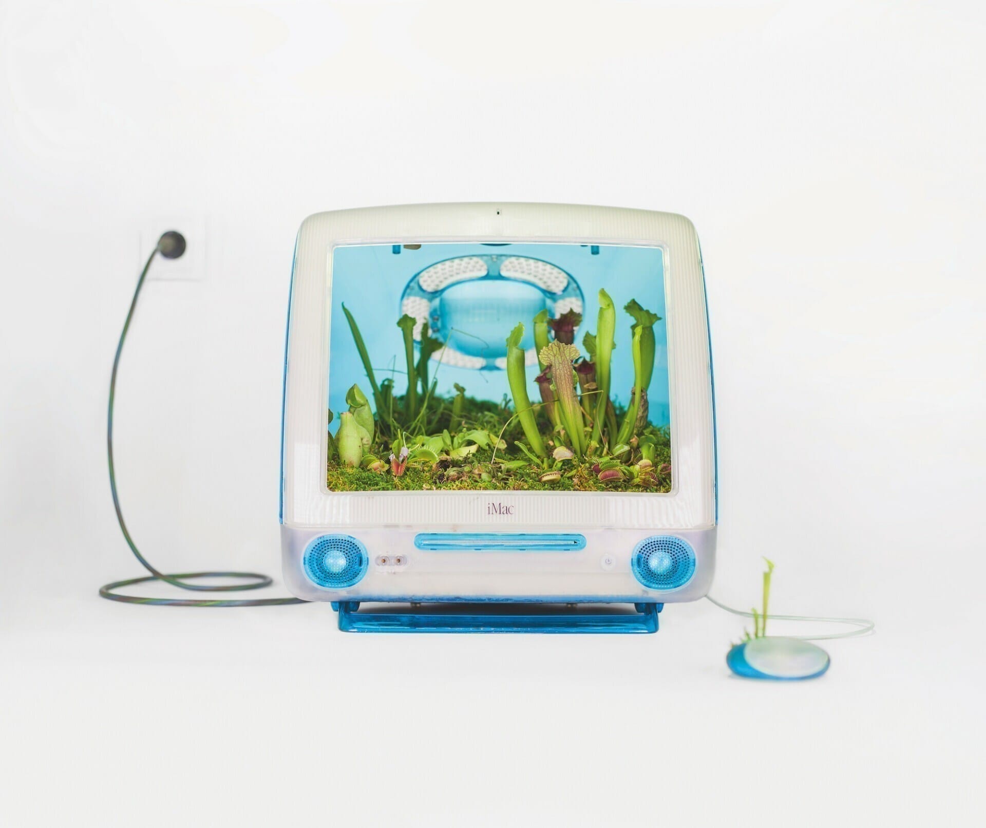 Christophe Guinet (Monsieur Plant), “Plant Your Mac!” (2020), mixed media, 23 5/8 × 12 5/8 inches. Image © the artist