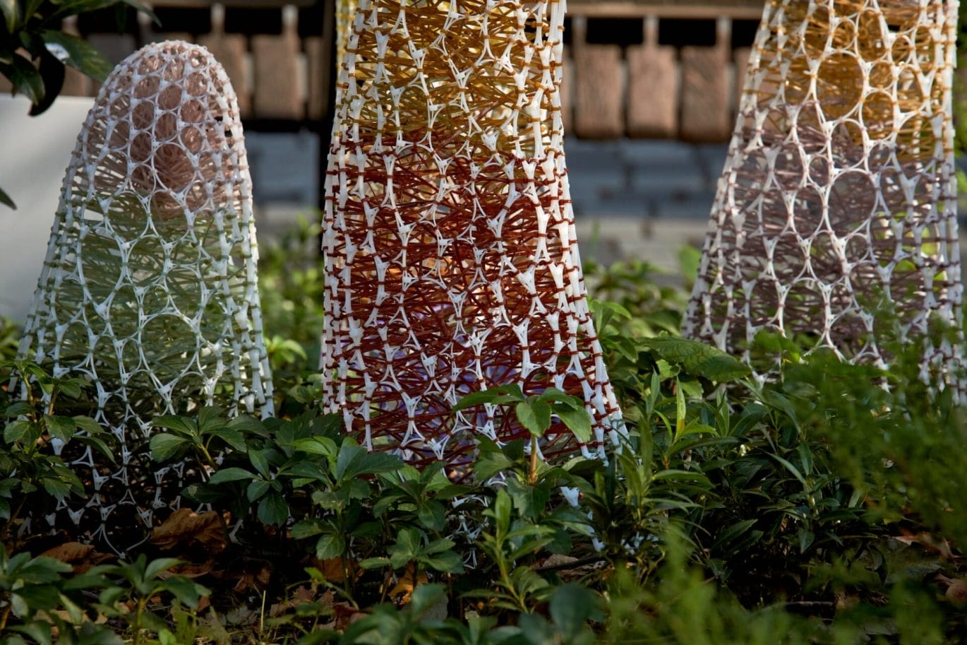 Sui Park maakt buitenaardse kunst van tiewraps
