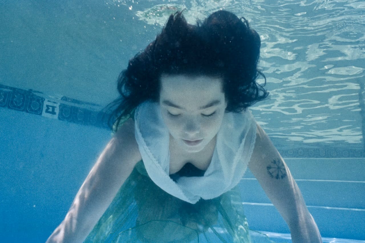 Unieke foto's van Björk door Spike Jonze