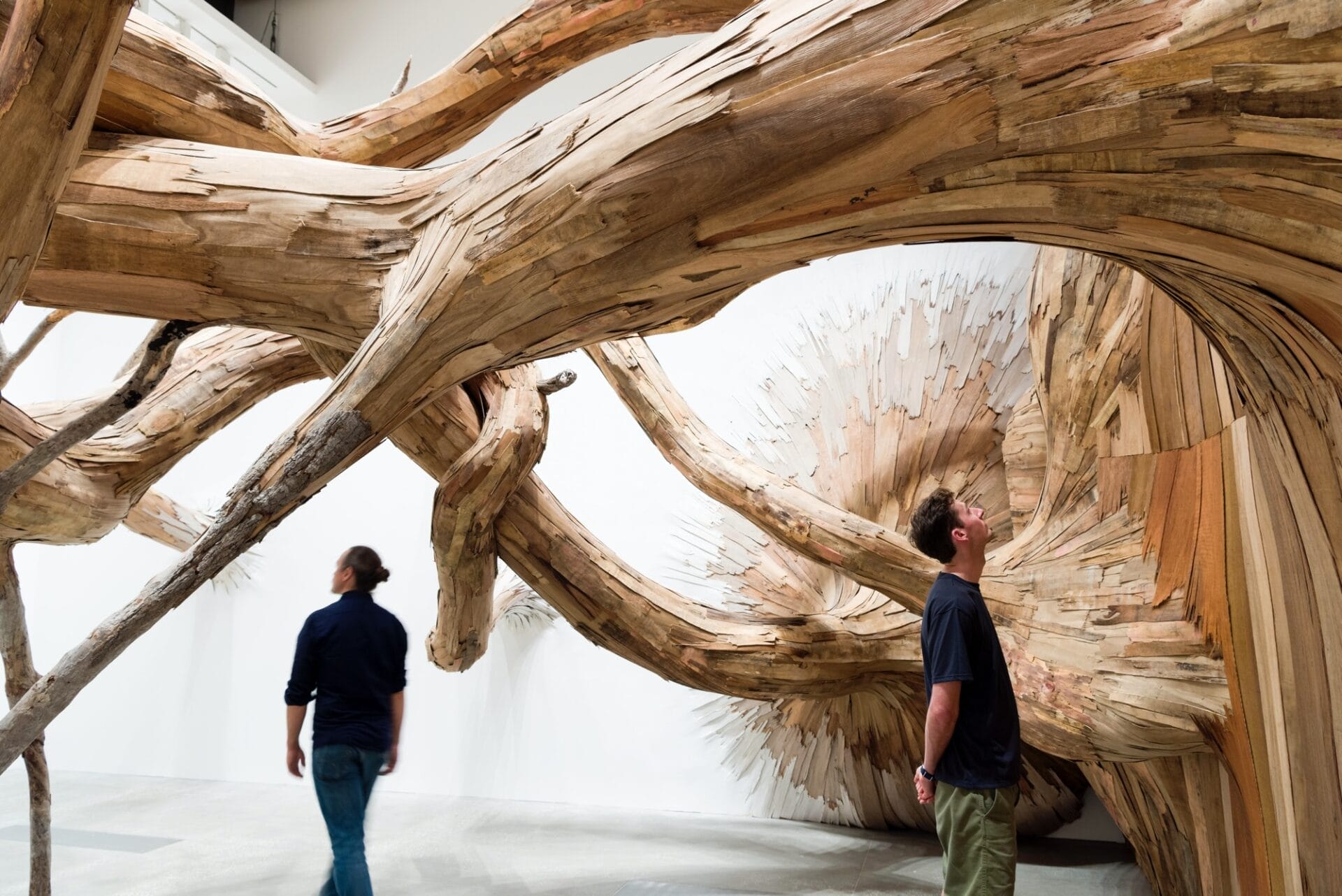 Detail of “Corupira” (2023), plywood, tapumes veneer, and tree branches, installation view of ‘Fairy Tales’ at Gallery of Modern Art Brisbane 2023. Photo by C Callistemon, © Henrique Oliveira and QAGOMA. All images courtesy of QAGOMA,