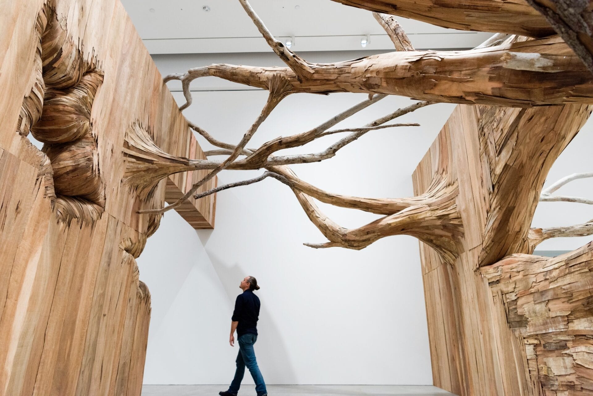 Detail of “Corupira” (2023), plywood, tapumes veneer, and tree branches, installation view of ‘Fairy Tales’ at Gallery of Modern Art Brisbane 2023. Photo by C Callistemon, © Henrique Oliveira and QAGOMA