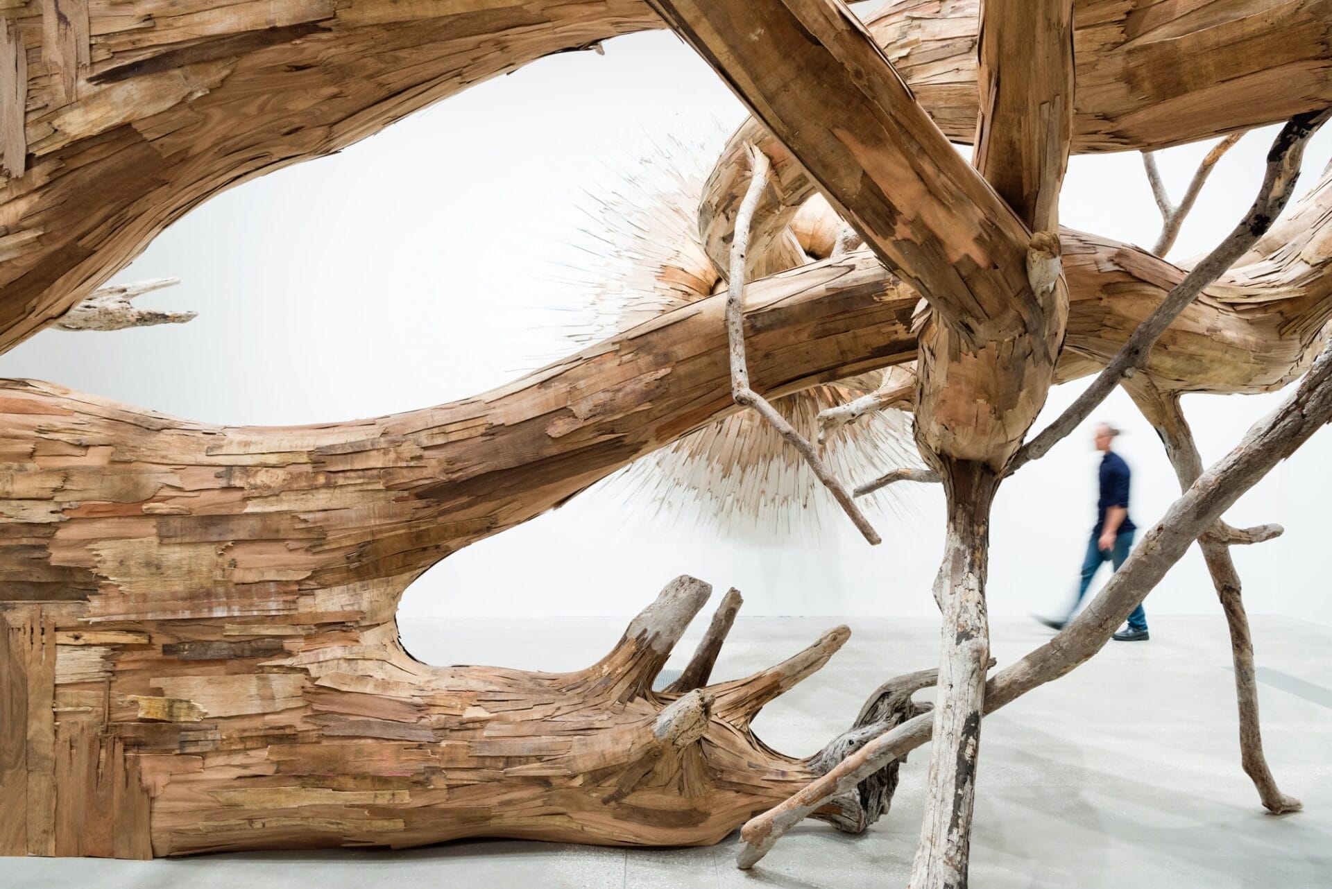 Detail of “Corupira” (2023), plywood, tapumes veneer, and tree branches, installation view of ‘Fairy Tales’ at Gallery of Modern Art Brisbane 2023. Photo by C Callistemon, © Henrique Oliveira and QAGOMA