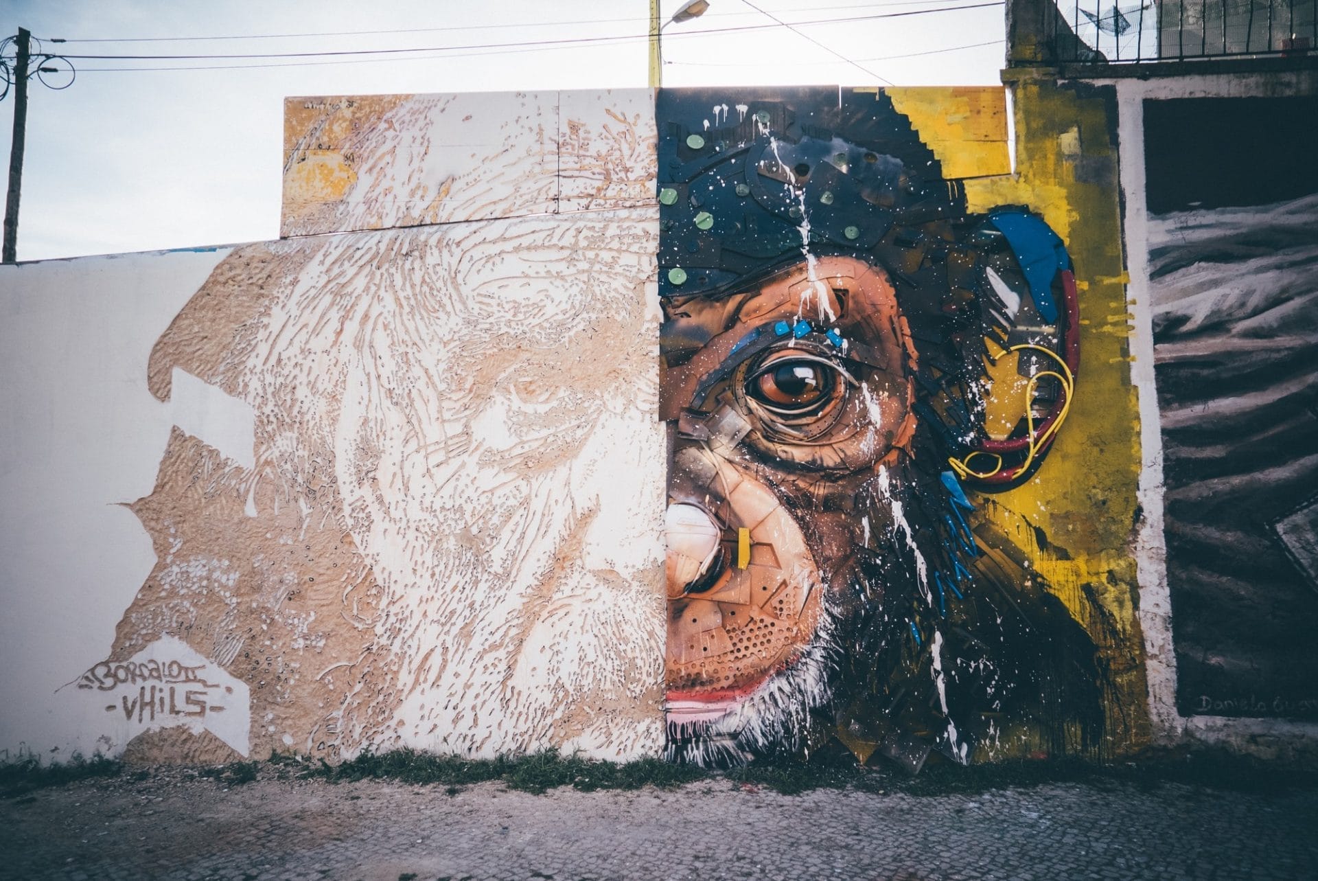 Vhils en Bordalo II brengen ode aan Albert Einstein