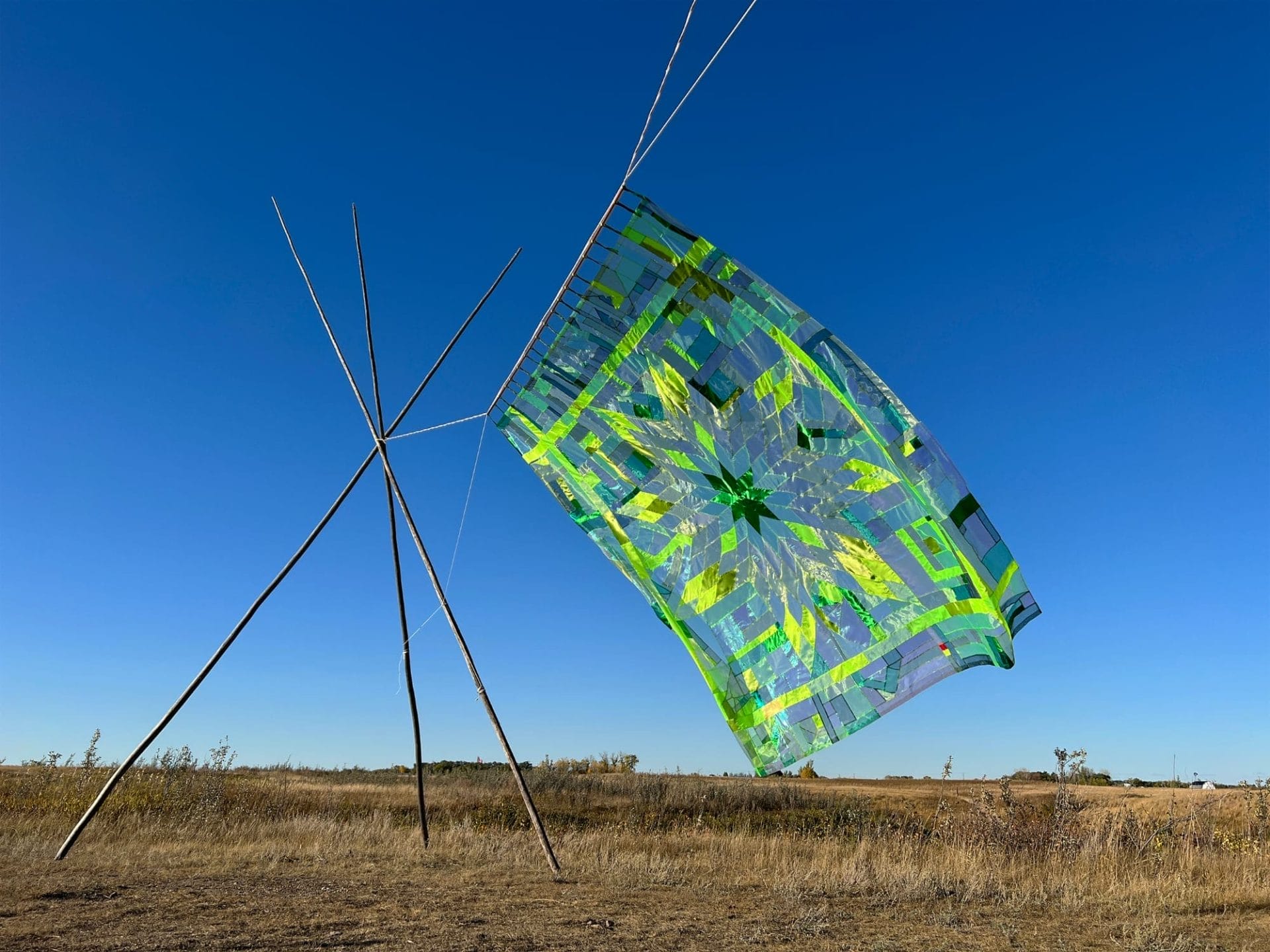 Van noodzaak tot kunst: Wally Dion en zijn grass quilts