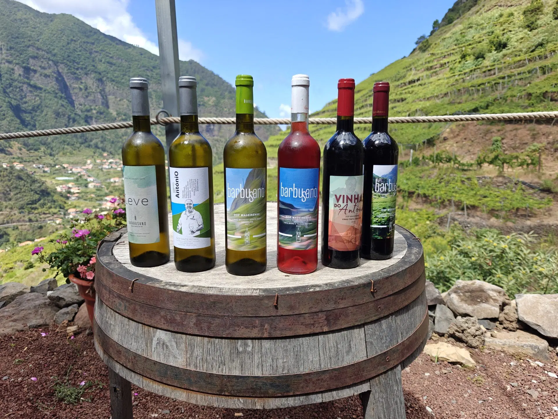 Madeira: zonnig eiland met heerlijke wijn