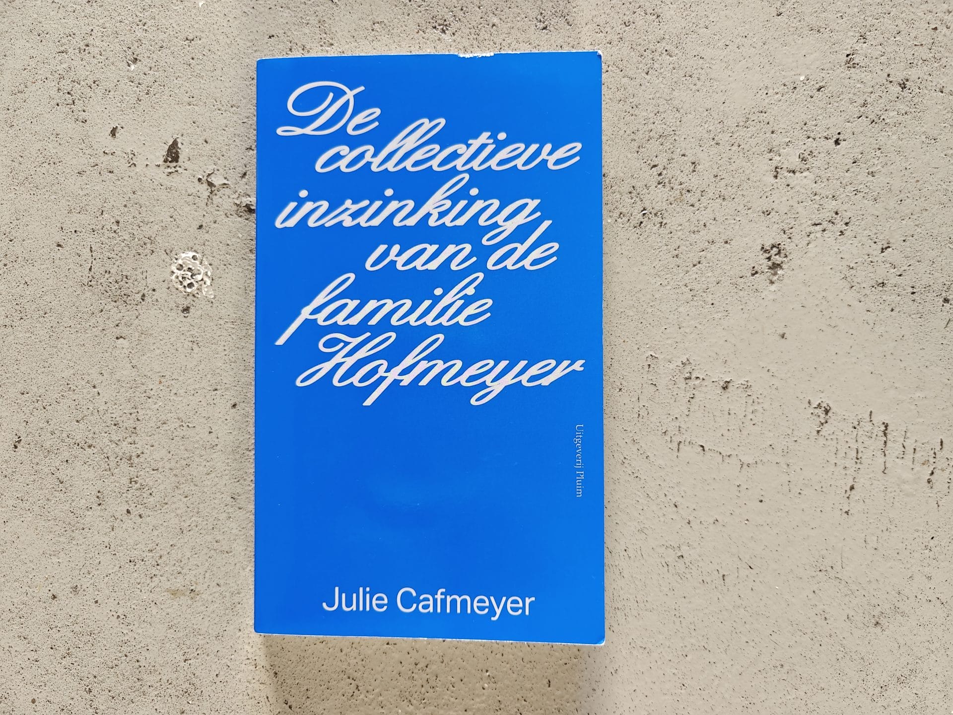 Recensie Julie Cafmeyer - De collectieve inzinking van de familie Hofmeyer