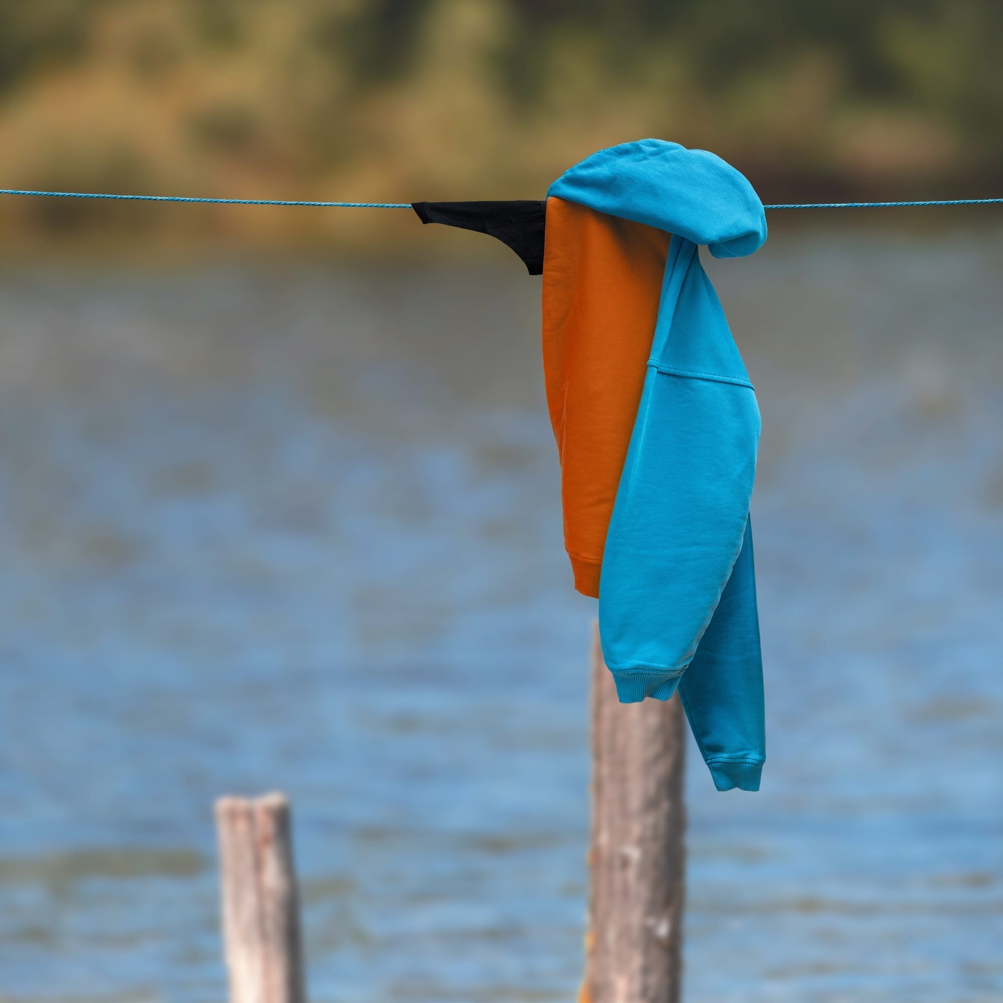 Vrolijke dieren aan de waslijn door Helga Stenzel