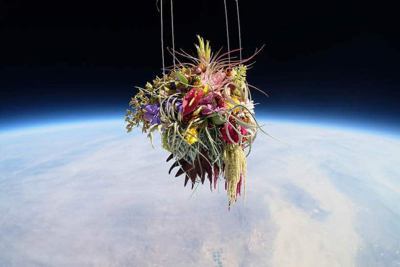 bloemen in de ruimte