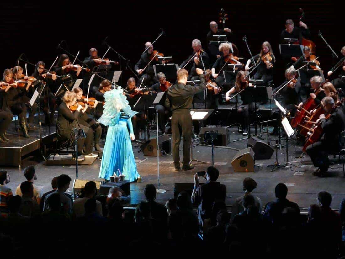 Björk Vulnicura Strings