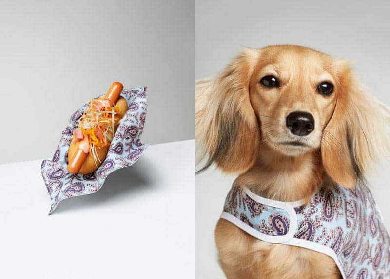 hotdog en teckel