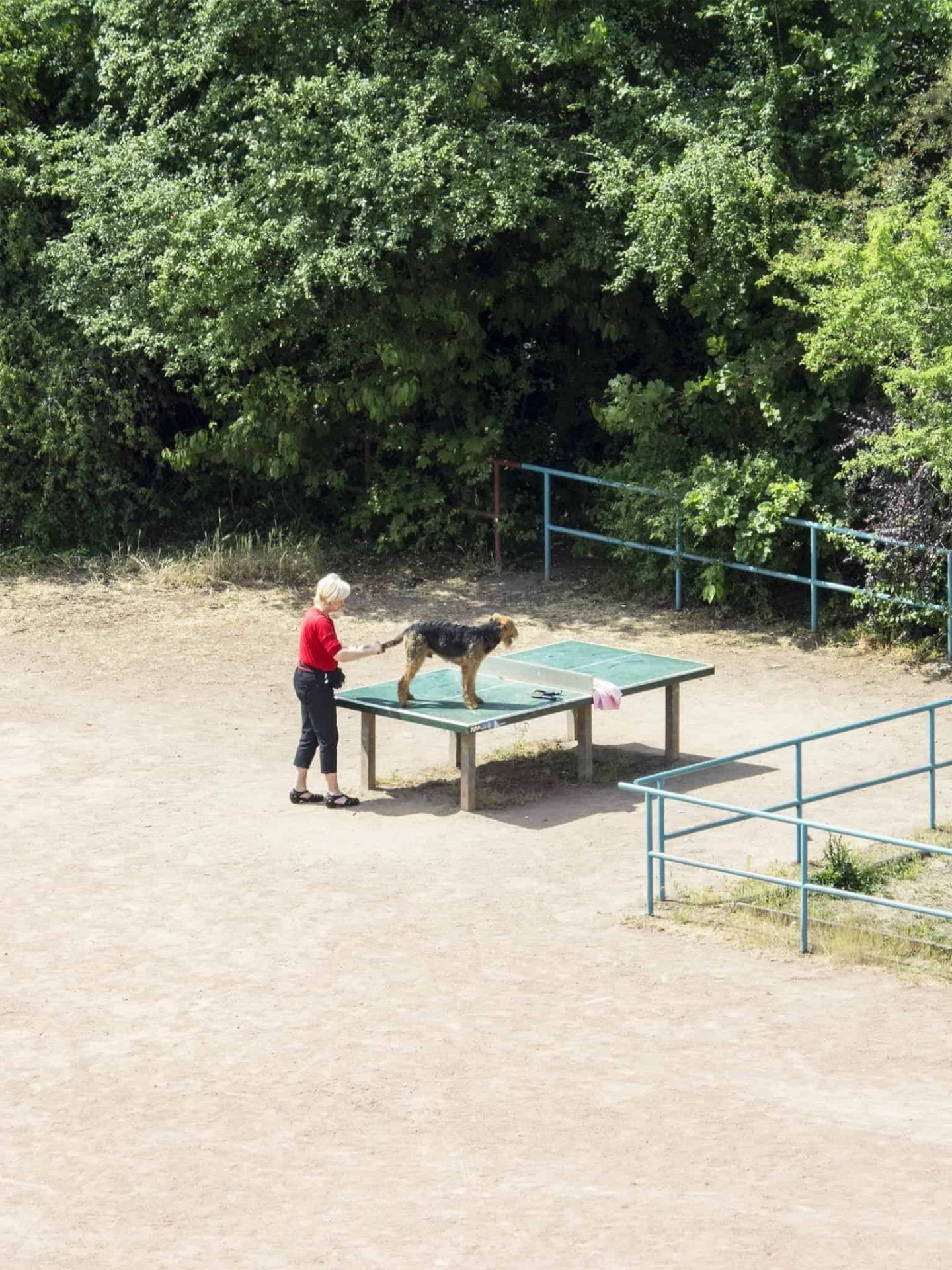 De avonturen van een tafeltennistafel