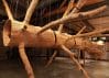 Kunstenaar John Grade maakt houten kopie van een grote boom
