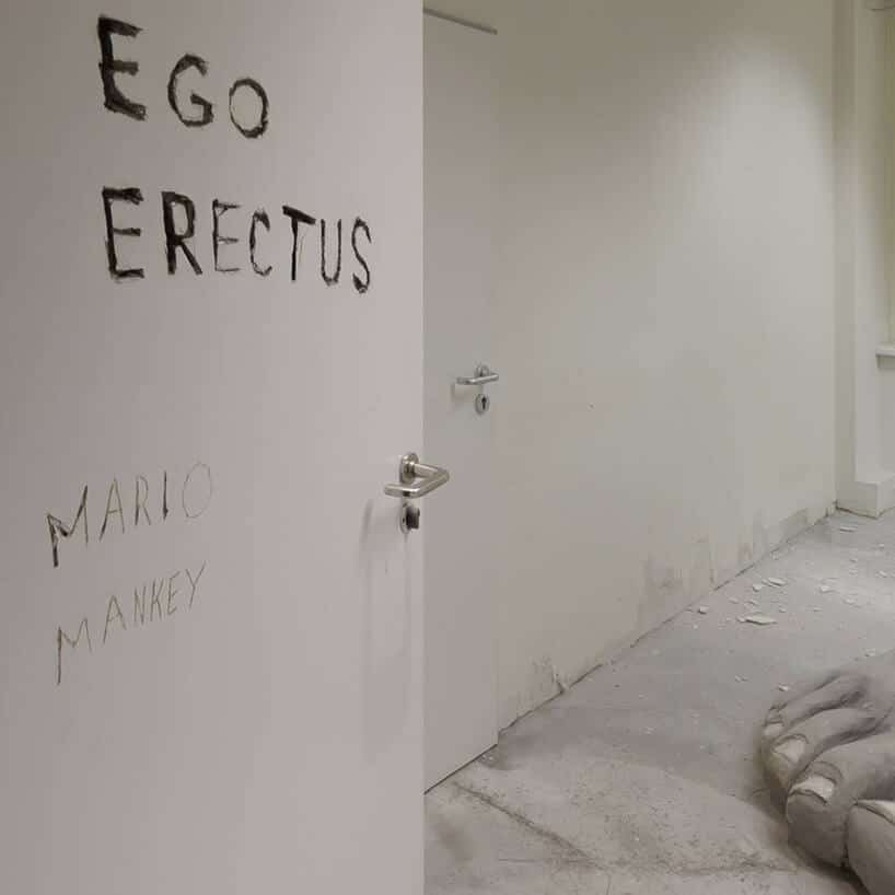 Ego Erectus